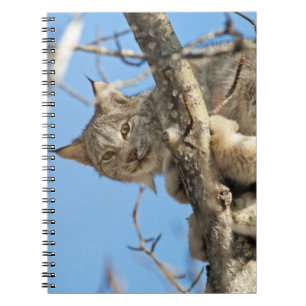 Cuaderno Lynx traviesa