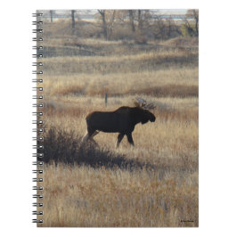 Cuaderno M5 Toro Moose y Sand Hills