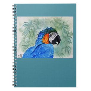 Cuaderno Macao azul y oro