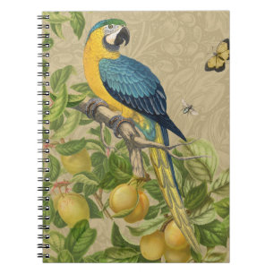 Cuaderno Macaw Blue Yellow Tropical Jungle Antigüedad