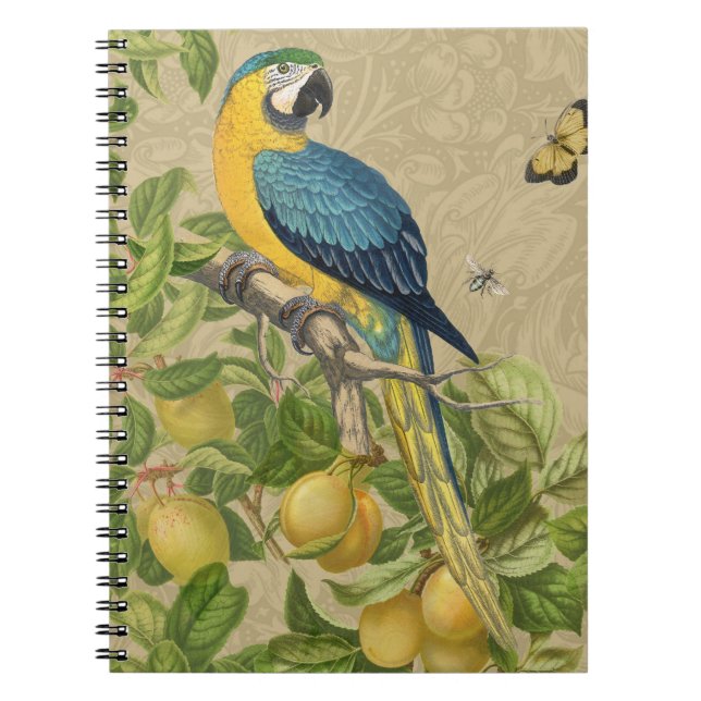 Cuaderno Macaw Blue Yellow Tropical Jungle Antigüedad (Frente)