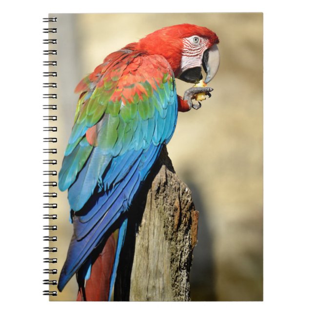Cuaderno Macaw de ala verde en percha (Frente)