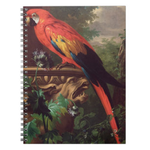 Cuaderno Macaw del escarlata en un paisaje (aceite en lona)