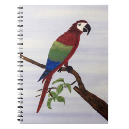 Cuaderno macaw, loro, naturaleza, puesta de sol, aves, flor