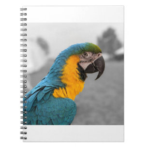 Cuaderno Macaw Parrot