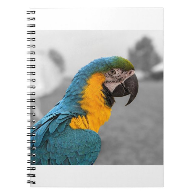 Cuaderno Macaw Parrot (Frente)