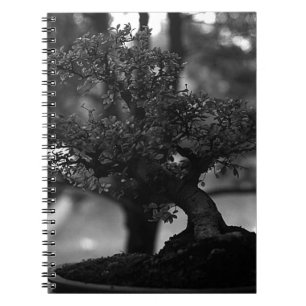 Cuaderno Maceta miniatura de bonsái vintage de Guilin, Chin