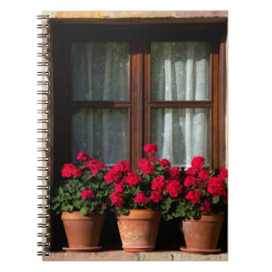 Cuaderno Macetas de flores en la ventana en el pueblo