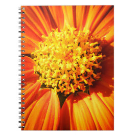 Cuaderno Macro Flor Naranja Radiante Foto de la Na