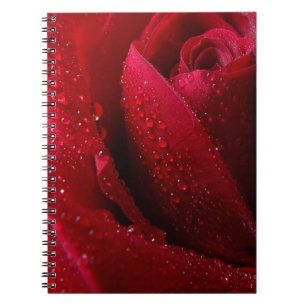 Cuaderno Macro roja Rosa con gotas de agua