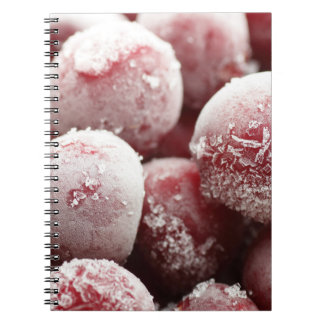 Cuaderno Macrocerezas congeladas, textura de cierre.