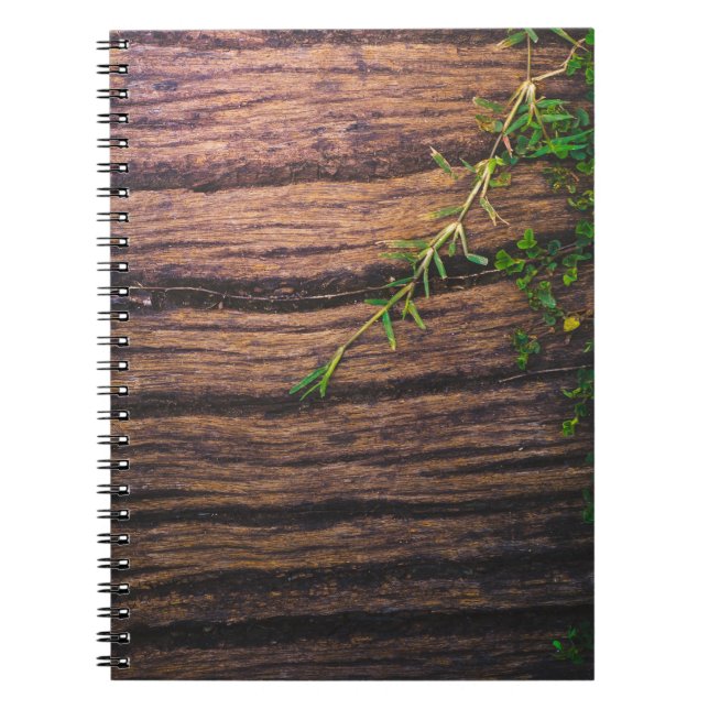 Cuaderno madera antigua (Frente)