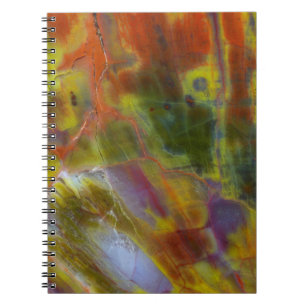 Cuaderno Madera Petrificada Arcoíris
