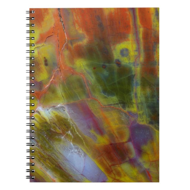 Cuaderno Madera petrificada arcoiris (Frente)