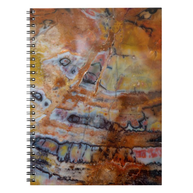 Cuaderno Madera Petrificada Marrón (Frente)