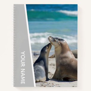 Cuaderno Madre de león marino y playa de broche de oro Aust
