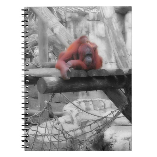 Cuaderno Madre e hijo de Orangutan (Frente)