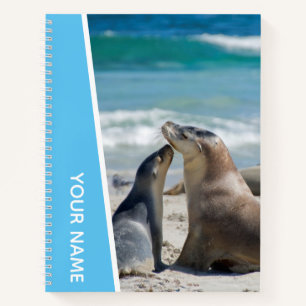 Cuaderno Madre y cachorro de león marino en la playa, Austr