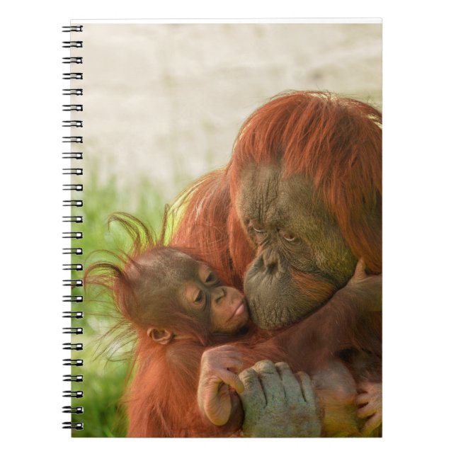 Cuaderno Madres de Orangutan Tender Momentos (Frente)