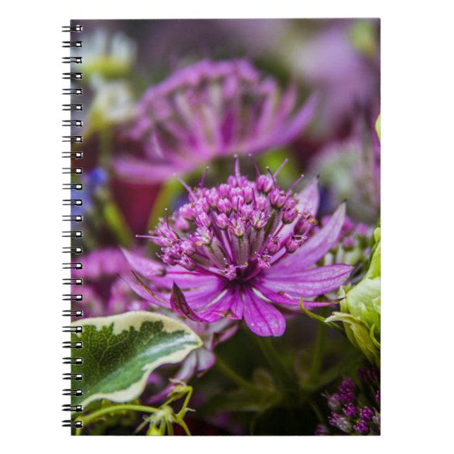 Cuaderno Magia exquisita de las flores #1 (Frente)