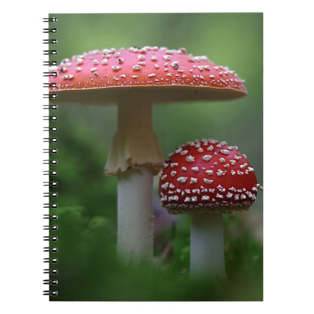 Cuaderno Magical Mushrooms (Frente)