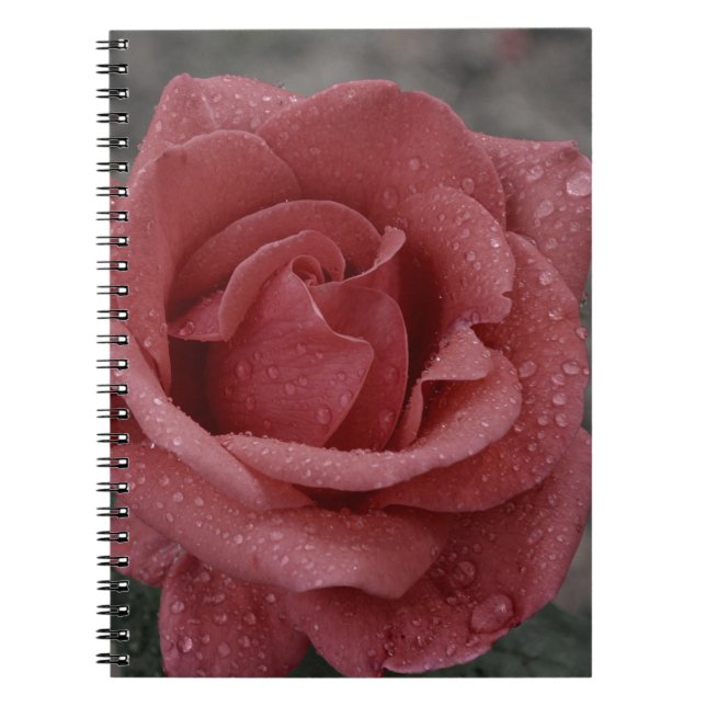 Cuaderno Magnífico bloc de notas para Rosa - Ideal para esc (Frente)