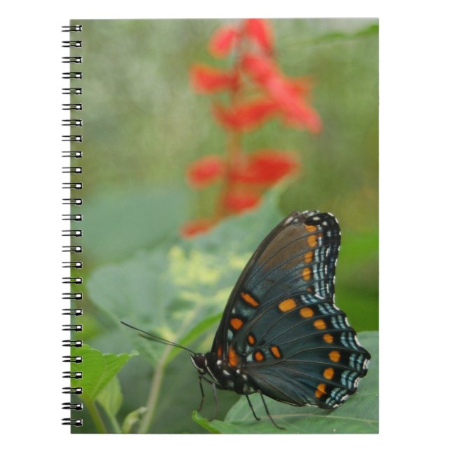 Cuaderno Magnífico portátil mariposa (Frente)