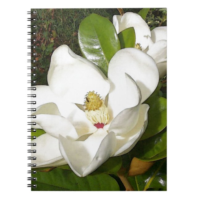 Cuaderno Magnolia Blossom (Frente)