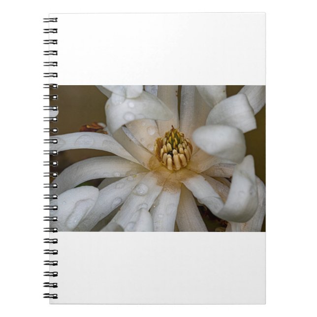 Cuaderno Magnolia éaseé (Frente)