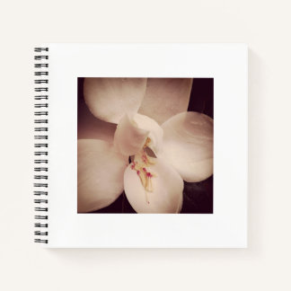 Cuaderno Magnolia Journal