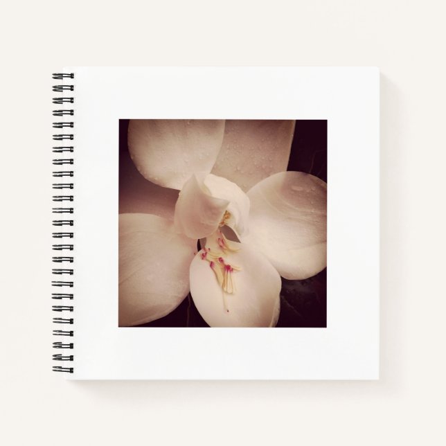 Cuaderno Magnolia Journal (Anverso)