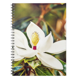 Cuaderno Magnolia magnífica de Mississippi