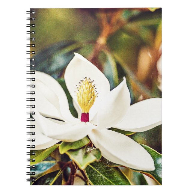 Cuaderno Magnolia magnífica de Mississippi (Frente)