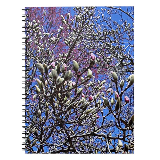 Cuaderno Magnolia, masa de fiebres (Frente)