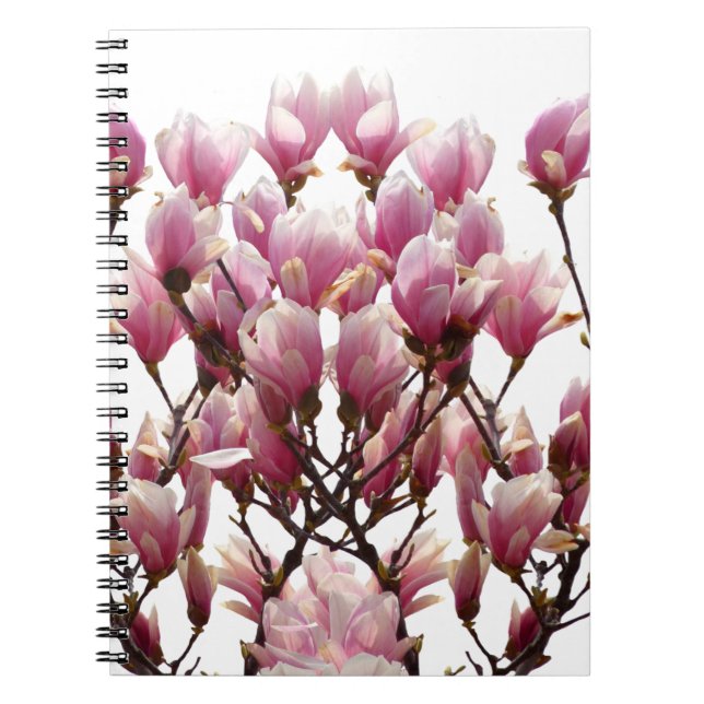 Cuaderno Magnolias Rosadas en Flor Primaveral (Frente)
