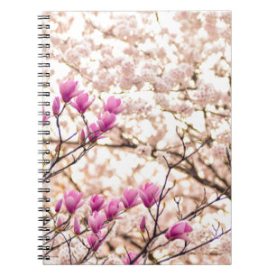 Cuaderno Magnolias rosadas moradas floreciendo Flor de prim