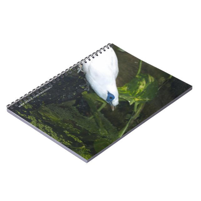 Cuaderno Mainá de Bali (Lado Izquierdo)