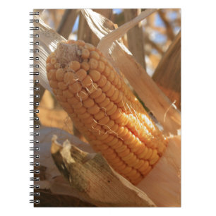 Cuaderno Maíz de campo otoñal en Stalk