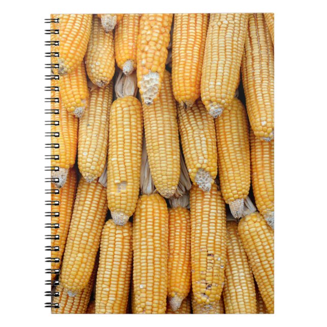 Cuaderno Maíz seco que fue apilado. (Frente)