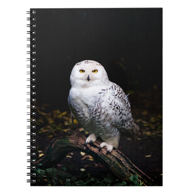 Cuaderno Majestuoso búho de invierno (Frente)