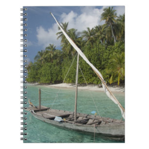 Cuaderno Maldivas, atolón de machos del norte, isla de Kud