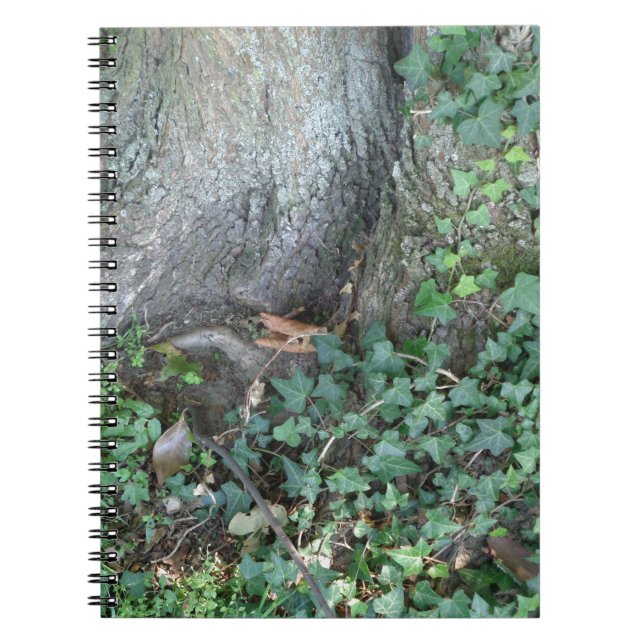 Cuaderno Maletero de árbol y hiedra en el bosque (Frente)