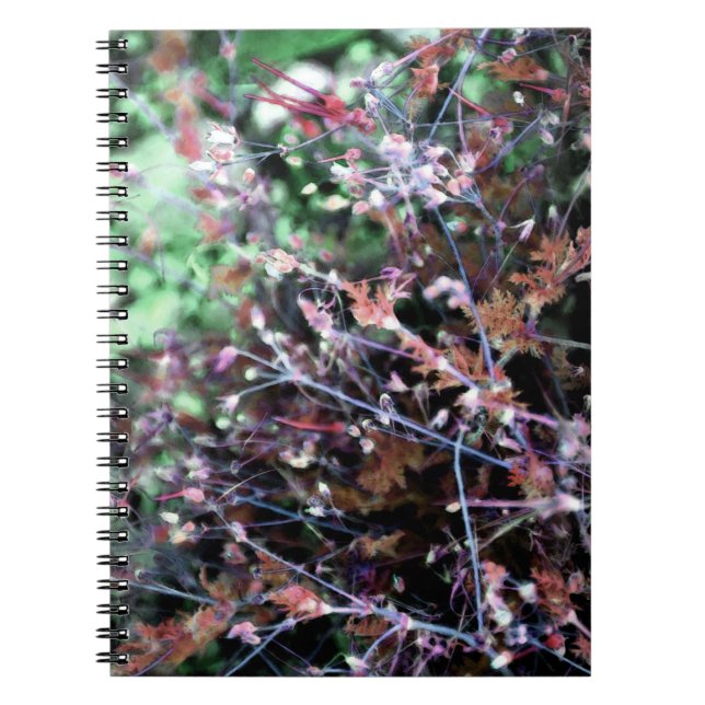 Cuaderno Malezas en negro, verde y blanco (Frente)