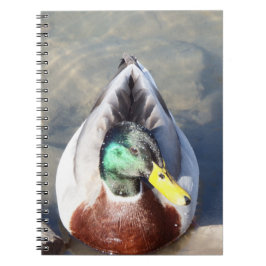 Cuaderno Mallard Duck