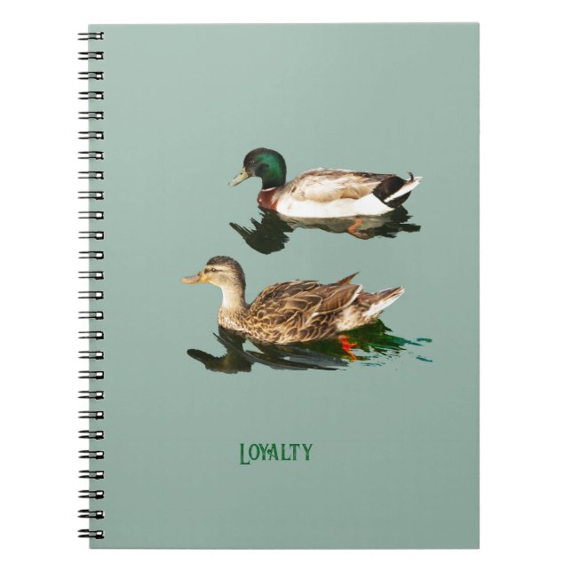 Cuaderno Mallas de los Ducks (Frente)