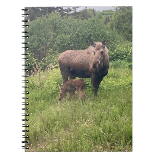 Cuaderno Mamá y cría de alce (Frente)