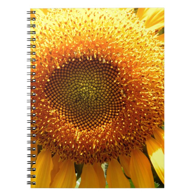 Cuaderno Mamut amarillo gigante girasol (Frente)