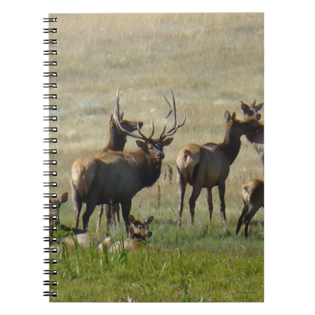 Cuaderno Manada de alces E36 en el abrevadero (Frente)