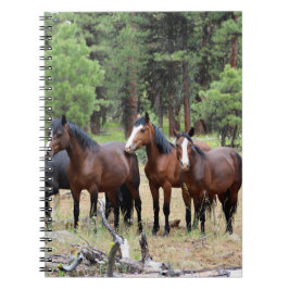 Cuaderno Manada de caballos salvajes