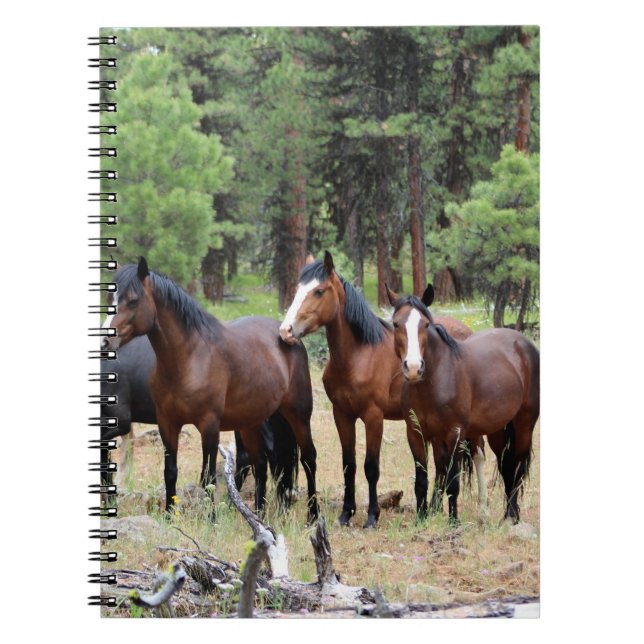 Cuaderno Manada de caballos salvajes (Frente)